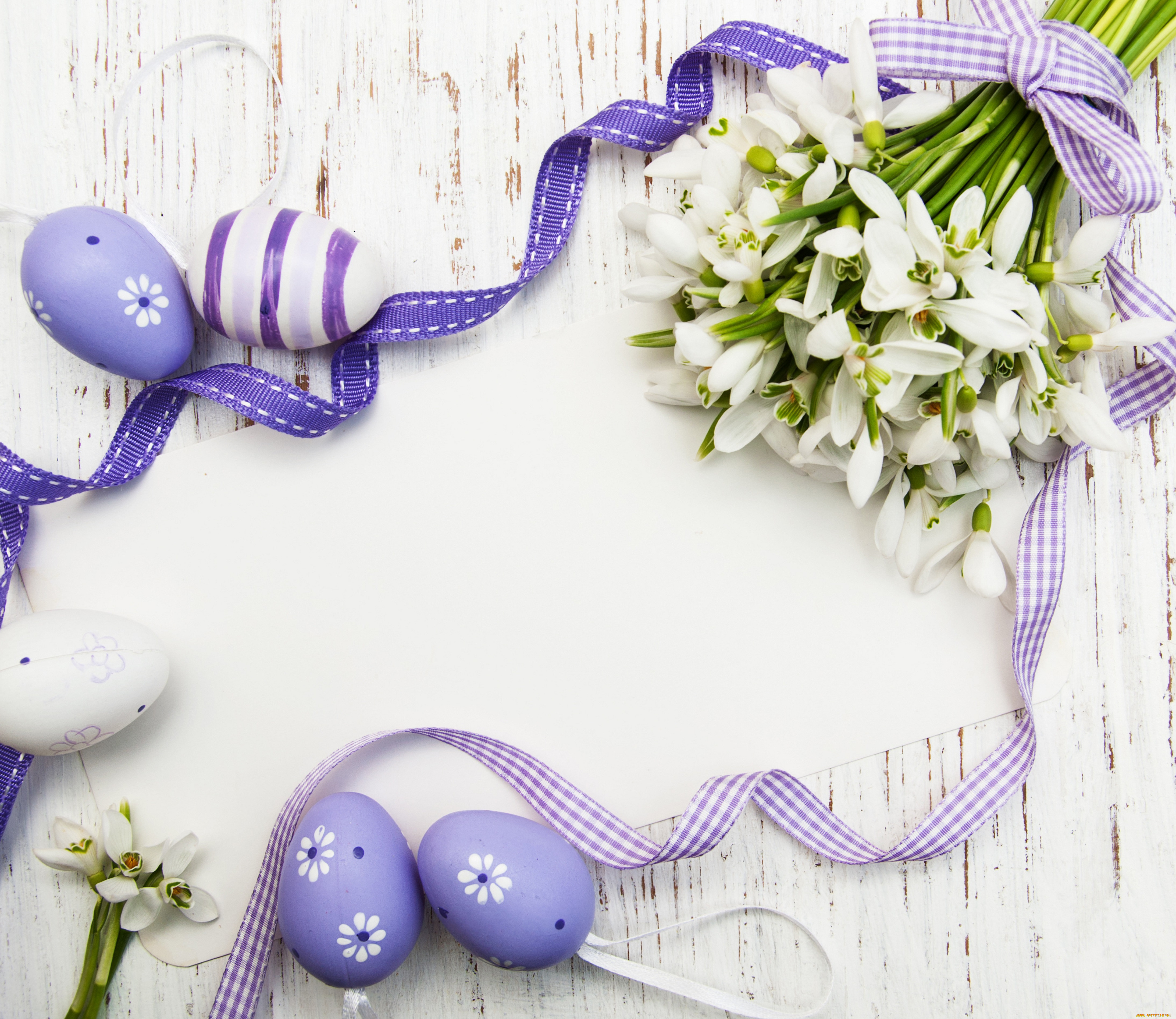 , , , , spring, card, flowers, , eggs, easter